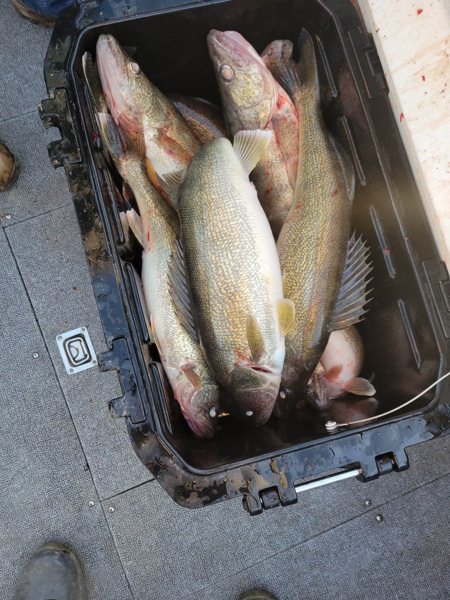 6-Hour Guided Fishing Trip for 5 – $825 Group Rate
