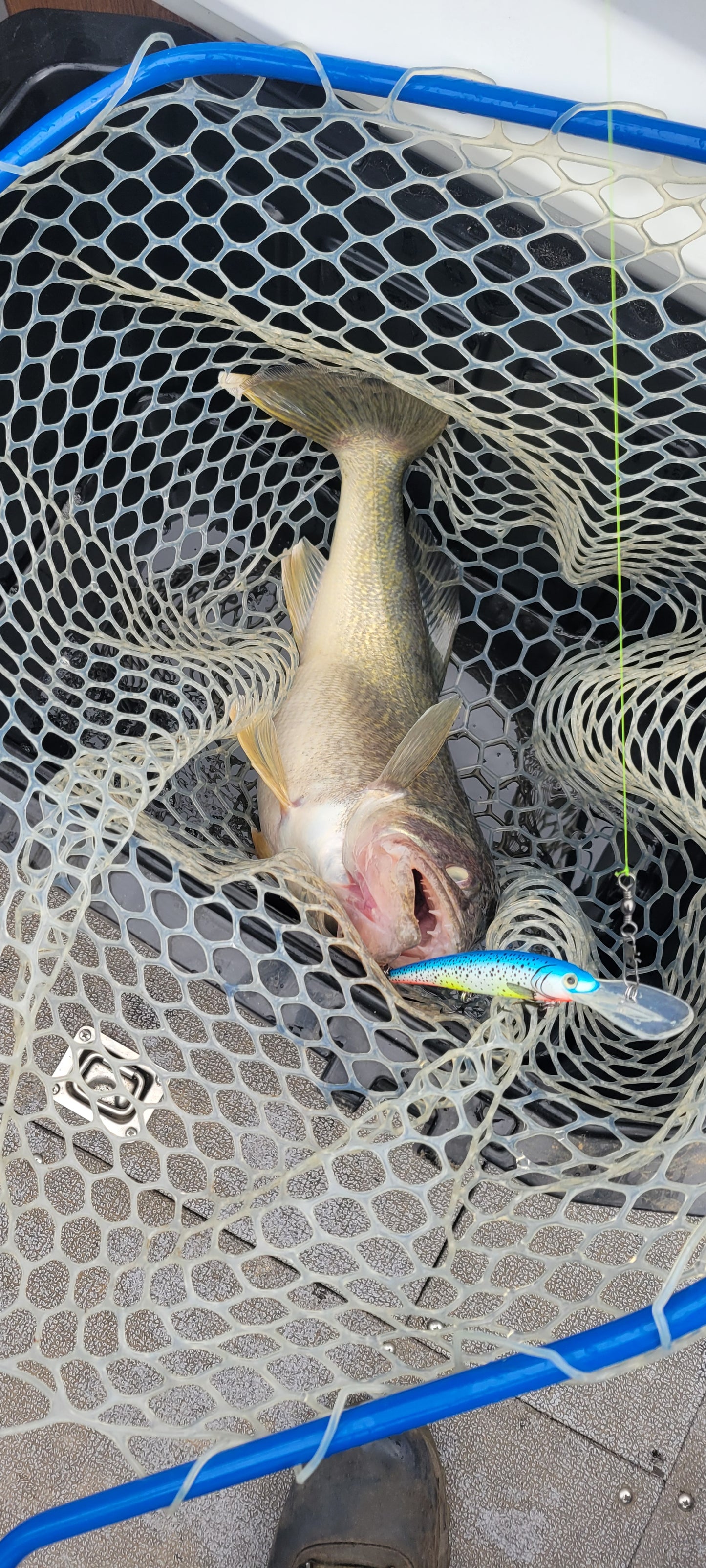 Full Boat Fishing Charter for 6 People – $930 Total