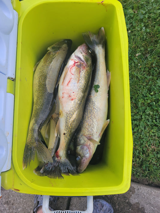 6-Hour Lake Fishing Charter for 4 Anglers – $700 Total